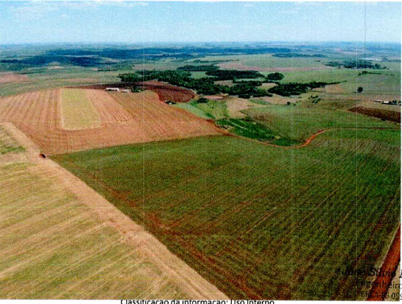 Área Rural C/ 25 Ha - Entre-ijuís / Rs — foto 2
