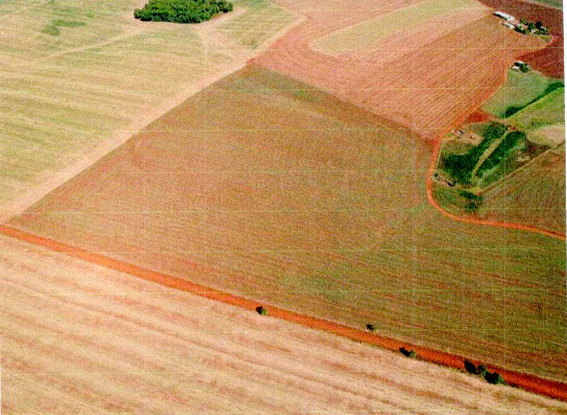 Área Rural C/ 25 Ha - Entre-ijuís / Rs — foto 3