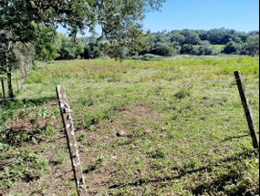 Área Rural C/ 2 Ha - Roque Gonzales / Rs