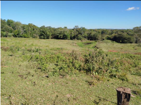 Área Rural C/ 2 Ha - Roque Gonzales / Rs — foto 2