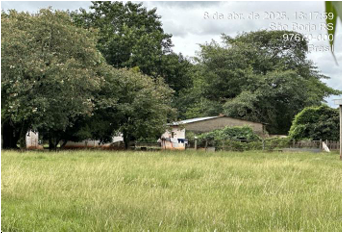 Área Rural C/ 2 Ha - São Borja / Rs
