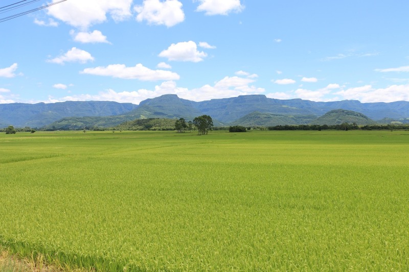 Lote 003 Imóvel Rural em Lagamar/MG com 98,62,38 Hectares