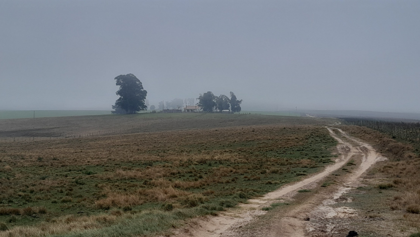 306,90395 Hectares De Area Rural (são Gabriel/RS)
