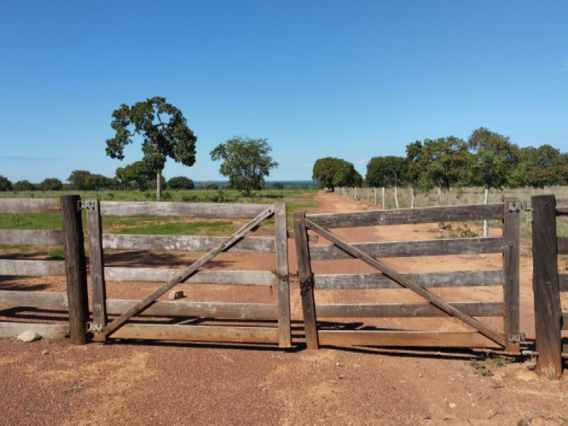 LOTE 005 Fazenda, Rural, Zona Rural — foto 2