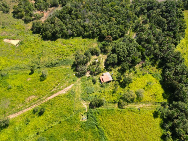 LOTE 005 Fazenda, Rural, Zona Rural — foto 4