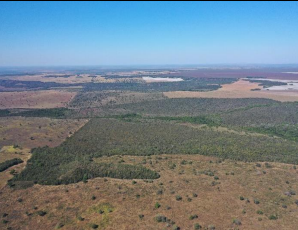 LOTE 1: Área rural com 138ha - Sítio Itapoã NOVO SÃO JOAQUIM MT