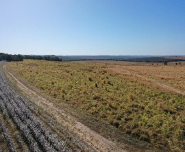 LOTE 2: Área Rural com 150ha - Fazenda Novo Horizonte NOVO SÃO JOAQUIM MT