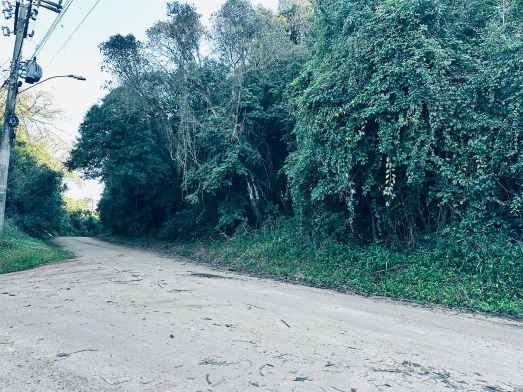 Imóvel - Lote Nº 50 Do Loteamento Denominado Retiro Da Ponta Grossa - Poa/RS