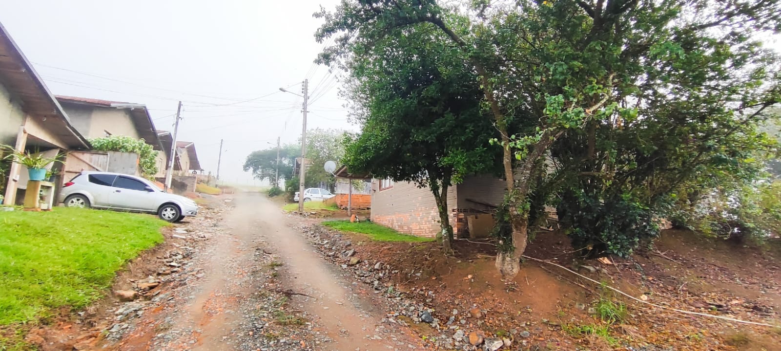 Terreno Rural Com 25.139,00m², Com Benfeitorias, Cidade De Petrolânida-sc — foto 3