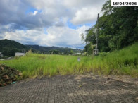 Terreno c/ 373,91m² - R. Pitangueira - Bairro Floresta — foto 2