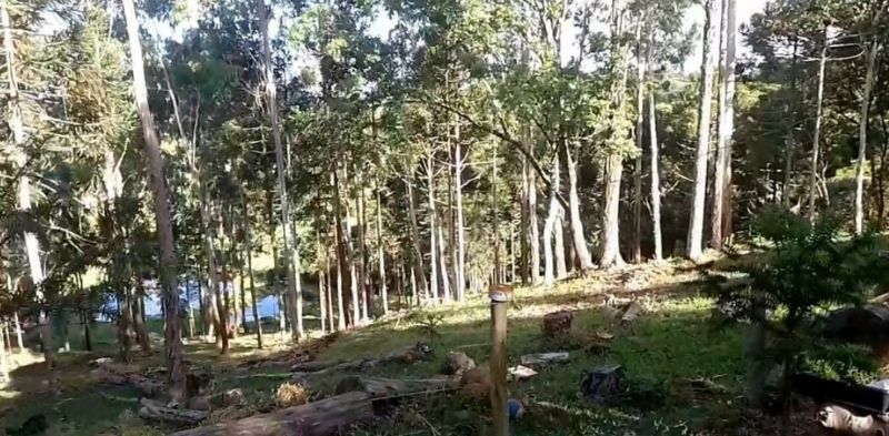 Imóvel Rural 74.706,85m² - Tabuleiro — foto 2