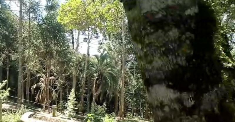 Imóvel Rural 74.706,85m² - Tabuleiro — foto 3