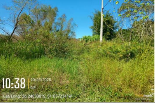 Imóvel De 660,000 M², Localizado Na Rua Projetada 05, 300, Bairro São Braz, Na Cidade De União Da Vitória - Pr, — foto 2