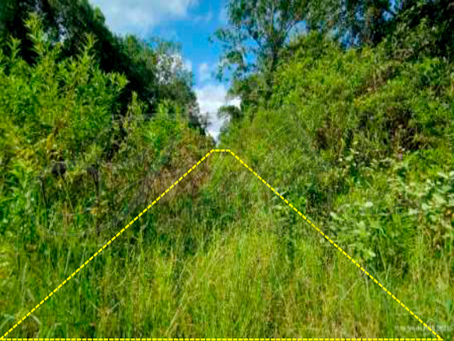Imóvel 250,00m²