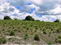 Sítio c/ área de 14,2 hectares - Nova Cruz/RN — foto 2