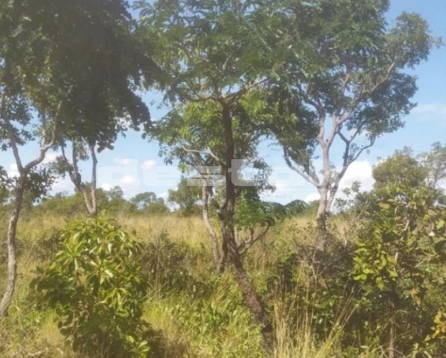 Terreno em Mateiros/TO — foto 4