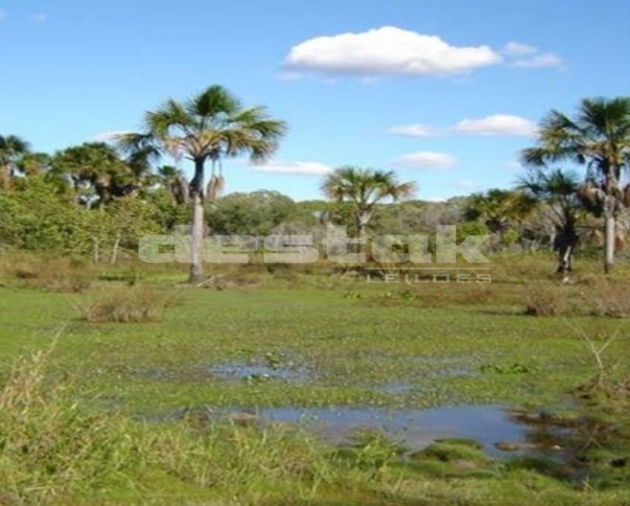Terreno em Mateiros/TO — foto 5