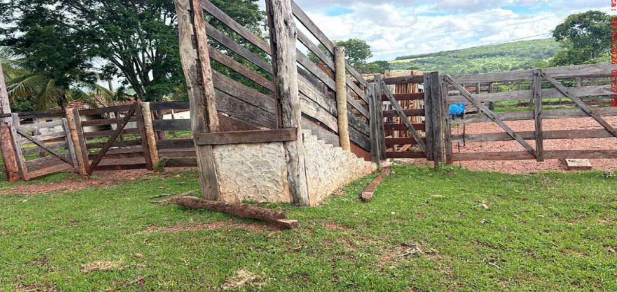 Fazenda 68,30 Alqueires com Curral e 4 Tanques para Criação de Peixes - Palestina de Goiás/GO — foto 3