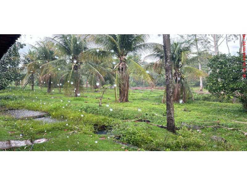 Fazenda 68,30 Alqueires com Curral e 4 Tanques para Criação de Peixes - Palestina de Goiás/GO — foto 4