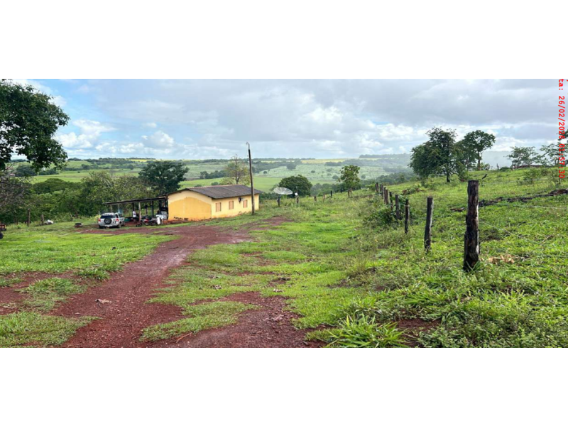 Fazenda 68,30 Alqueires com Curral e 4 Tanques para Criação de Peixes - Palestina de Goiás/GO — foto 5
