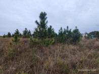 Terreno c/ 300,00m² - Praia Real