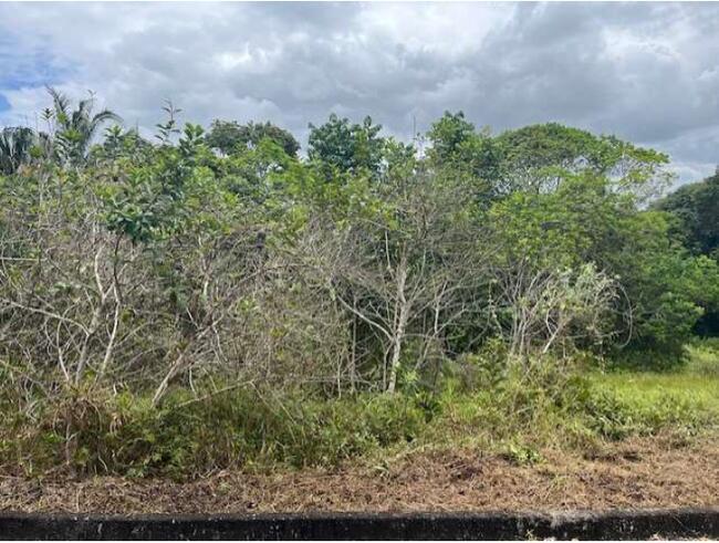 01 (um) Lote De Terreno, Matrícula 50.562, Localizado No Residencial Reserva De Alhandra, Lote 04, Quadra C, Bairro Fazenda Santo Antônio, Município De Alhandra/PB — foto 3