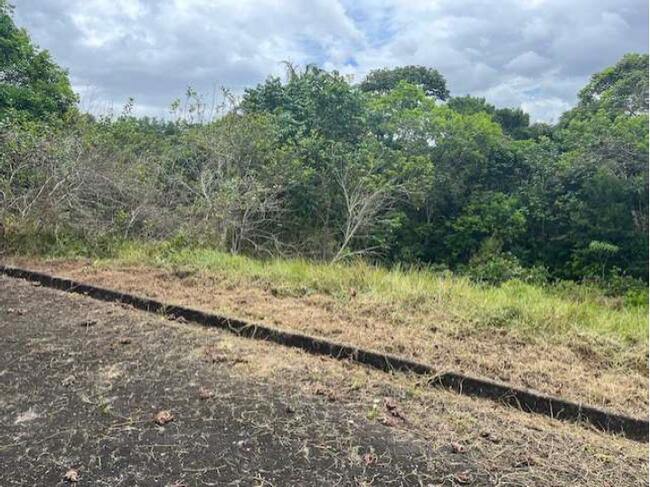01 (um) Lote De Terreno, Matrícula 50.562, Localizado No Residencial Reserva De Alhandra, Lote 04, Quadra C, Bairro Fazenda Santo Antônio, Município De Alhandra/PB — foto 4