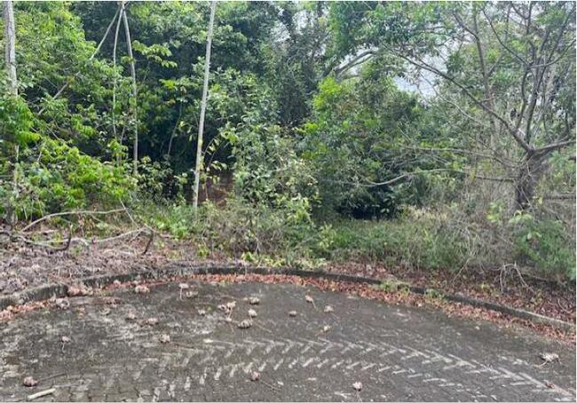 01 (um) Lote De Terreno, Matrícula 50.562, Localizado No Residencial Reserva De Alhandra, Lote 04, Quadra C, Bairro Fazenda Santo Antônio, Município De Alhandra/PB — foto 5