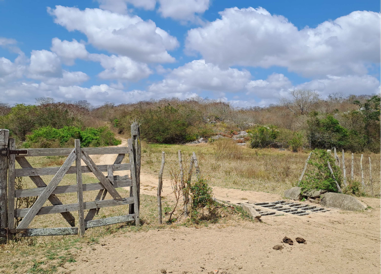 Uma Parte De Terra, Encravada Na Propriedade "prata", Do Lugar "loango" Zona Rural Do Município De Massaranduba, Com Área Registrada De Cinquenta E Seis Quadros (56) De Cinquenta (50) Braços, Mas Declarada De Oitenta (80) Hectares.