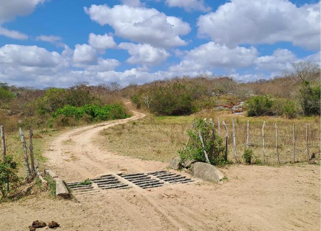 Uma Parte De Terra, Encravada Na Propriedade "prata", Do Lugar "loango" Zona Rural Do Município De Massaranduba, Com Área Registrada De Cinquenta E Seis Quadros (56) De Cinquenta (50) Braços, Mas Declarada De Oitenta (80) Hectares. — foto 4