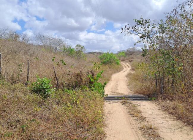 Uma Parte De Terra, Encravada Na Propriedade "prata", Do Lugar "loango" Zona Rural Do Município De Massaranduba, Com Área Registrada De Cinquenta E Seis Quadros (56) De Cinquenta (50) Braços, Mas Declarada De Oitenta (80) Hectares. — foto 5