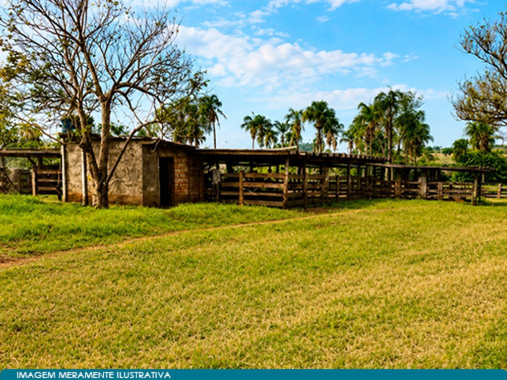 Imóvel Rural 178 ha (Fazenda el Shaday Vista Alegre do Corrente) - Itarumã - GO — foto 4