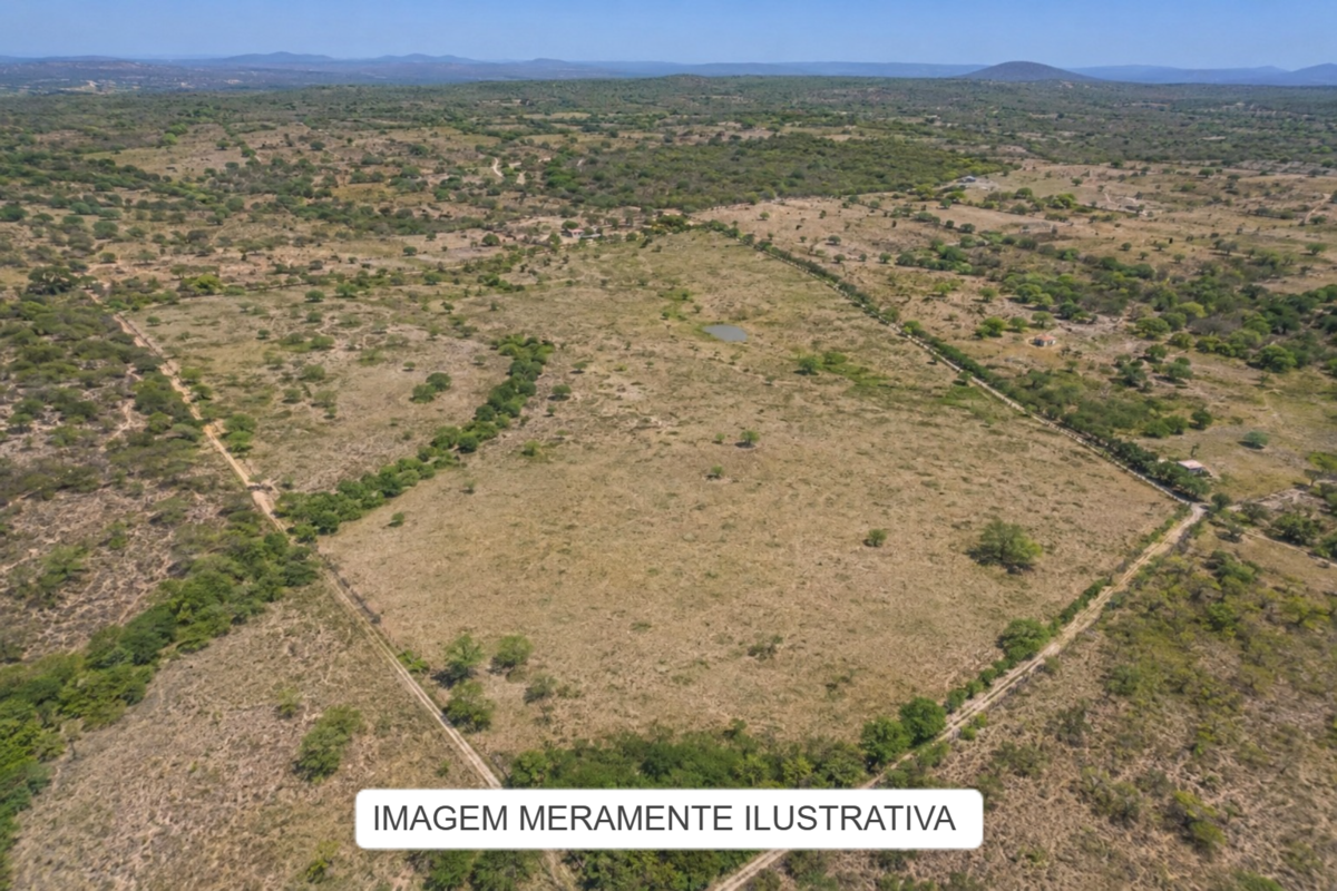 Imóveis Rurais — Lote Nº 01