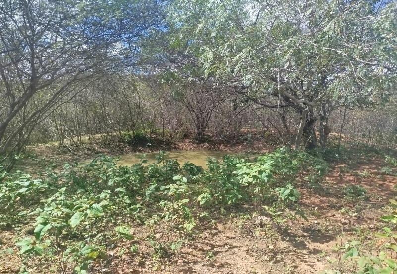 Imóveis Rurais — Lote Nº 01 — foto 2