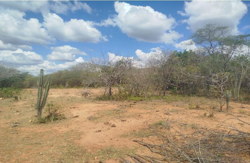 Imóveis Rurais — Lote Nº 01 — foto 4