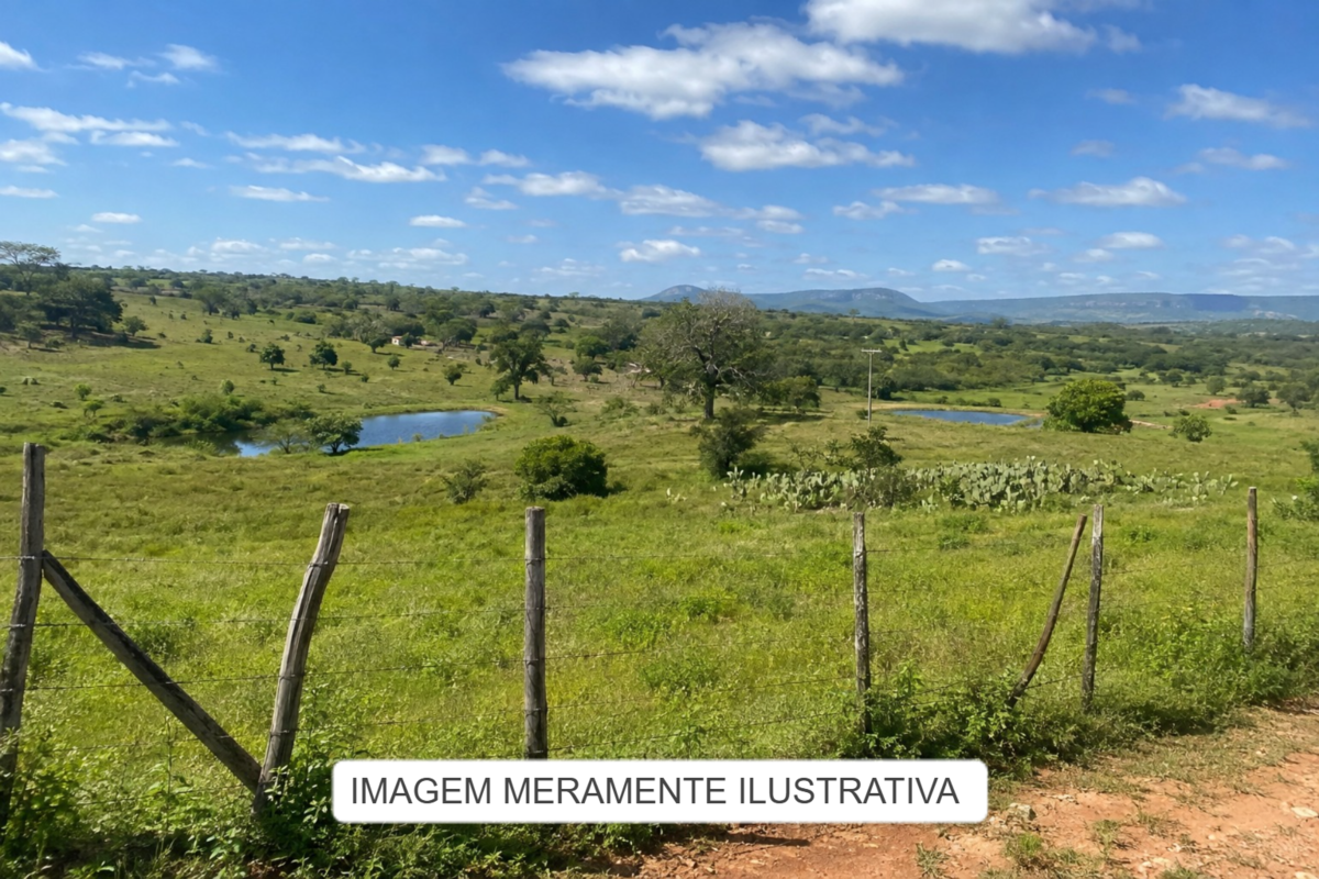 Imóveis Rurais Aberto Lote Nº 01