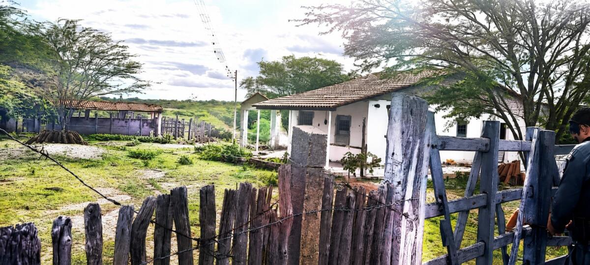 Imóveis Rurais Aberto Lote Nº