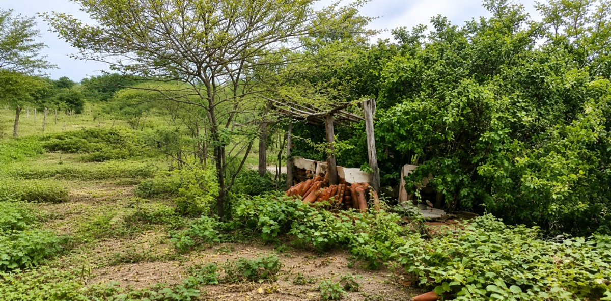 Imóveis Rurais Aberto Lote Nº — foto 4