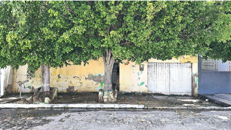 Imóveis Urbanos Lote Nº — foto 2