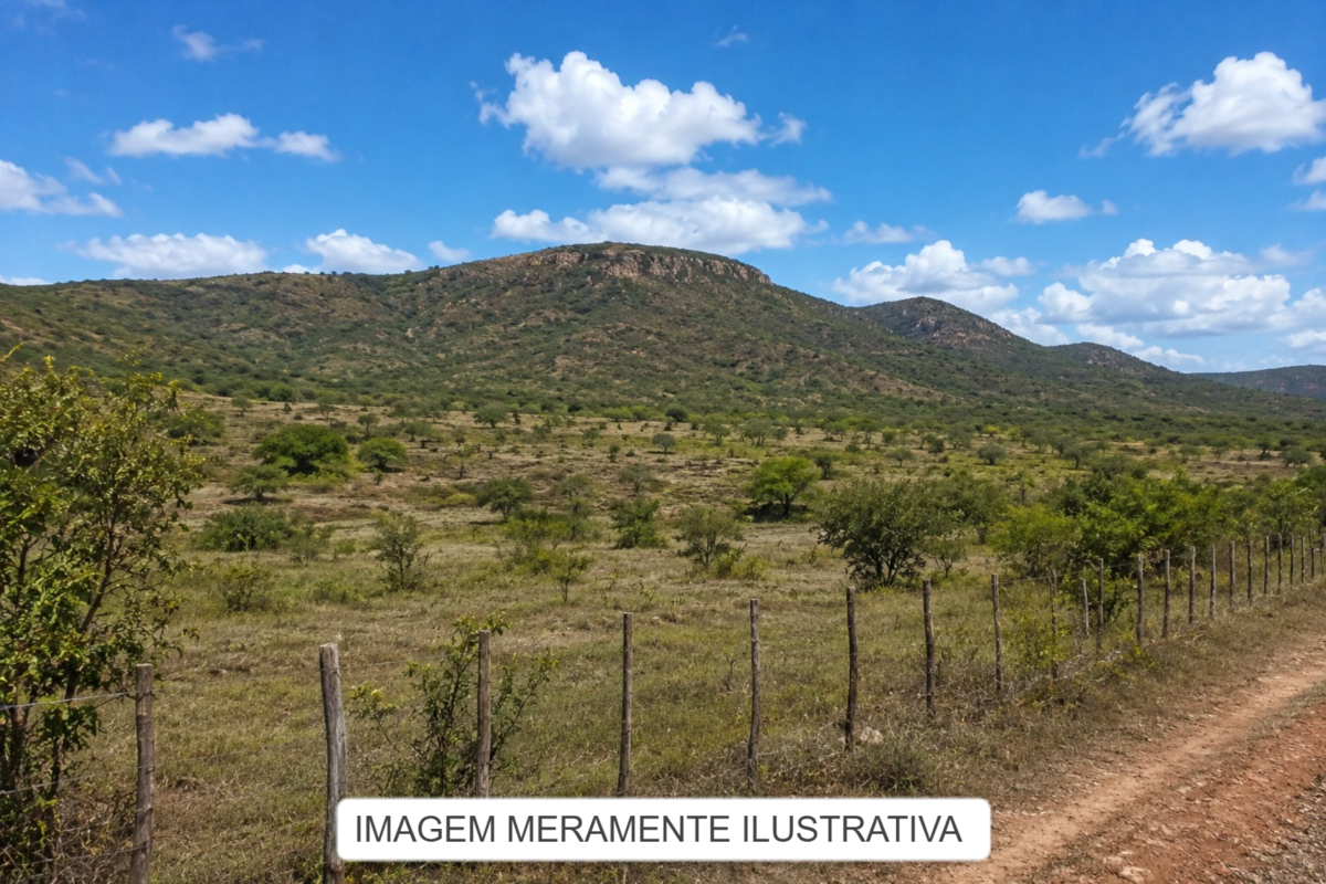 Imóveis Rurais — Lote Nº 01