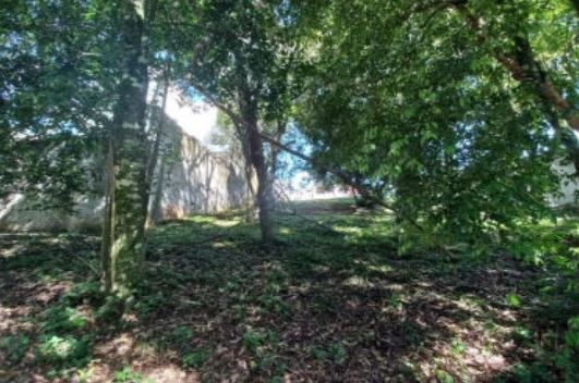 Terreno De 334,970 M², Rua João Baron, S/n, Bairro Jardim Carvalho, Na Cidade De Ponta Grossa - Pr — foto 2