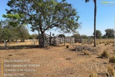 Imóvel Rural | A.t 36,323ha | Sítio São Domingos | Porto Esperidião/MT