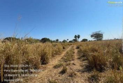 Imóvel Rural | A.t 36,323ha | Sítio São Domingos | Porto Esperidião/MT — foto 2