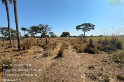 Imóvel Rural | A.t 36,323ha | Sítio São Domingos | Porto Esperidião/MT — foto 4