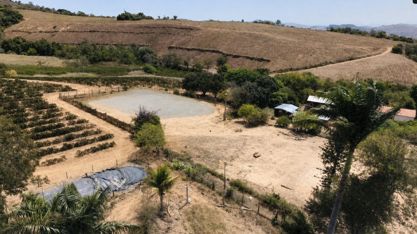 Imóvel Rural, 188ha, Nepomuceno/MG