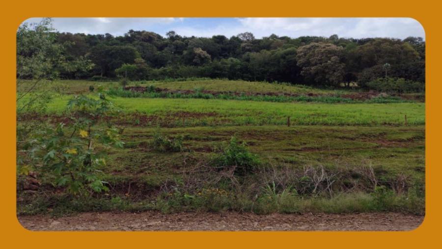 Lote Rural Nº 178, da Gleba 33-am do Núcleo Ampére, da Colônia Missões do Município de Santa Izabel do Oeste/pr. com Uma Área Total de 29.000m². __