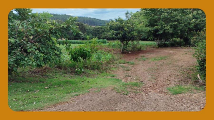 Lote Rural Nº 178, da Gleba 33-am do Núcleo Ampére, da Colônia Missões do Município de Santa Izabel do Oeste/pr. com Uma Área Total de 29.000m². __ — foto 2