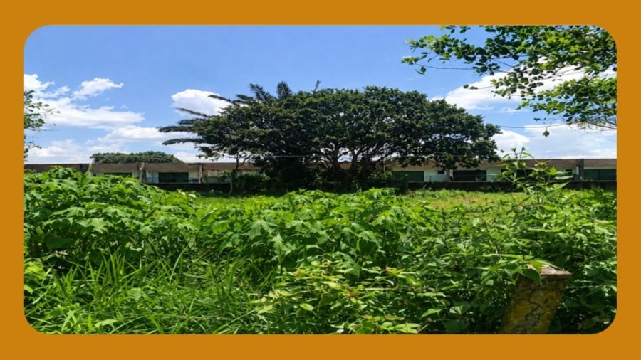 Lote Nº 10, da Quadra B, do Loteamento Recanto Casuarinas, na Estrada de Aldeia, KM 14, Aldeia dos Camaras, Paudalho/pe. com Área de 800m² Sem Edificação. __