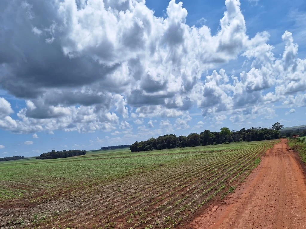 Imóvel Rural 215 ha (Fazenda Ventura Agro) - Campo Novo do Parecis - MT