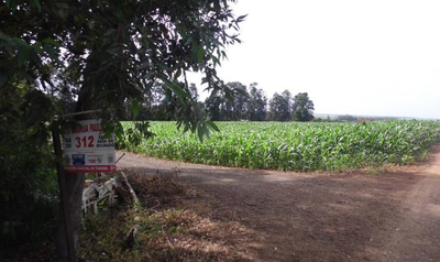 50% de Imóvel Rural 17,28ha em Leilão Judicial em Florínea/SP — foto 2